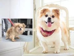 沒有誰，天生丑陋。