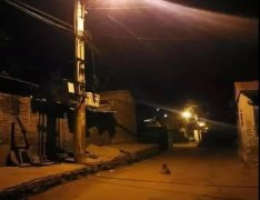 記憶中的老街巷口，有沒有一條等你回家的狗？