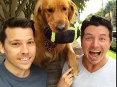 論演技，你恐怕比不上一只狗。。。