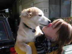 狗狗喜歡舔你，原來是想告訴你這些！